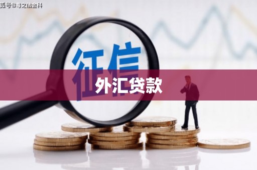 冷水江外汇贷款