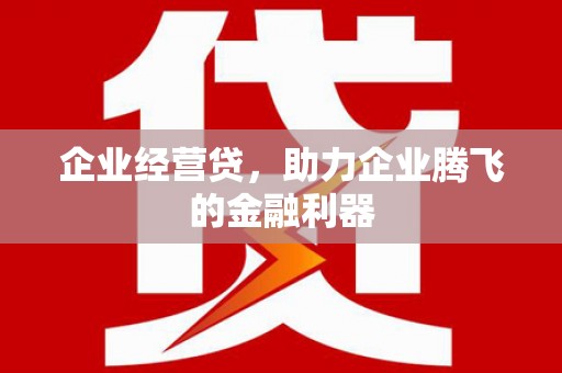 冷水江企业经营贷，助力企业腾飞的金融利器