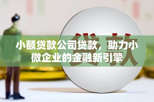 冷水江小额贷款公司贷款，助力小微企业的金融新引擎