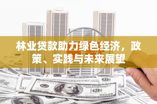 冷水江林业贷款助力绿色经济，政策、实践与未来展望