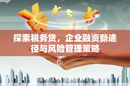 冷水江探索税务贷，企业融资新途径与风险管理策略