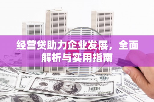 冷水江经营贷助力企业发展，全面解析与实用指南