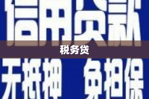 冷水江税务贷