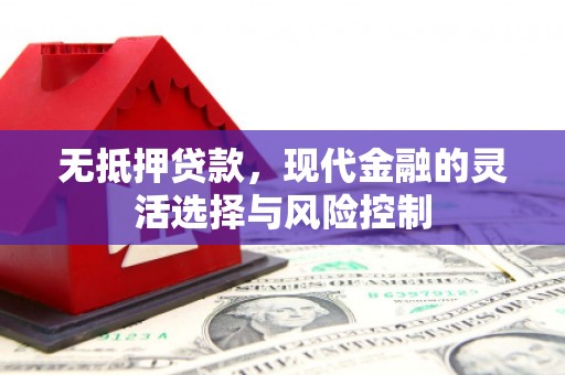 冷水江无抵押贷款，现代金融的灵活选择与风险控制