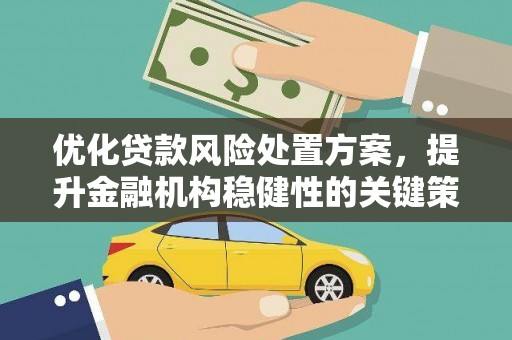 冷水江优化贷款风险处置方案，提升金融机构稳健性的关键策略