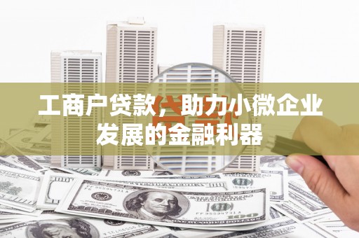 冷水江工商户贷款，助力小微企业发展的金融利器