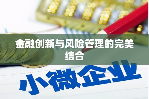 冷水江金融创新与风险管理的完美结合
