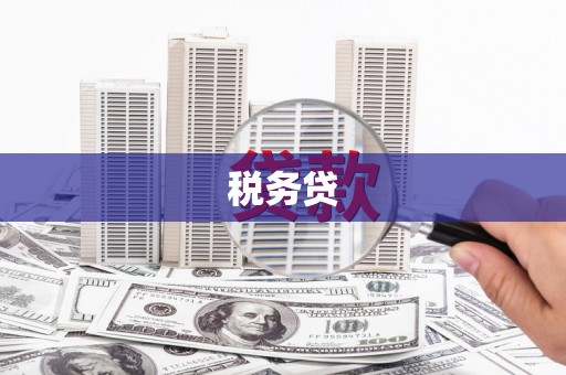 冷水江税务贷