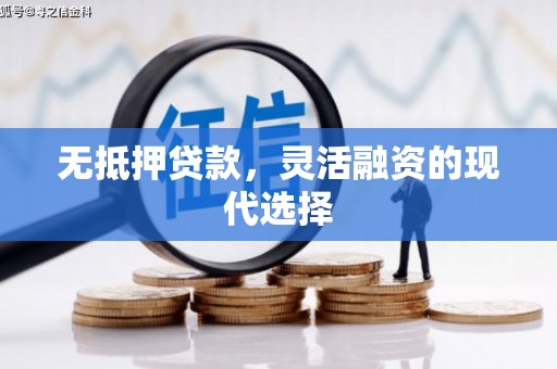 冷水江无抵押贷款，灵活融资的现代选择