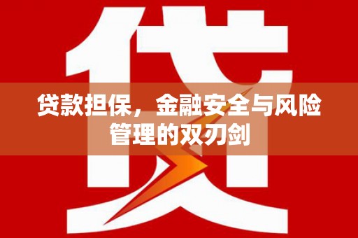 冷水江贷款担保，金融安全与风险管理的双刃剑