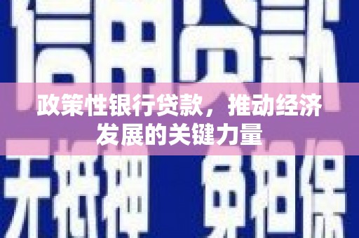 冷水江政策性银行贷款，推动经济发展的关键力量