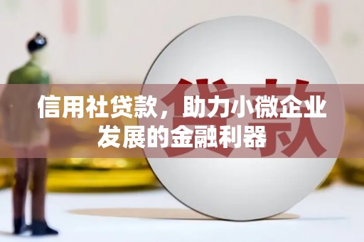 冷水江信用社贷款，助力小微企业发展的金融利器