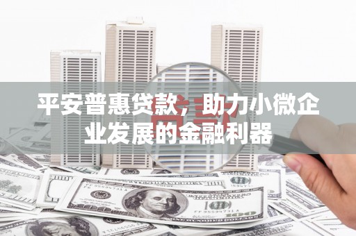 冷水江平安普惠贷款，助力小微企业发展的金融利器