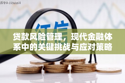 冷水江贷款风险管理，现代金融体系中的关键挑战与应对策略