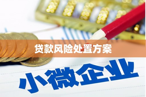 冷水江贷款风险处置方案