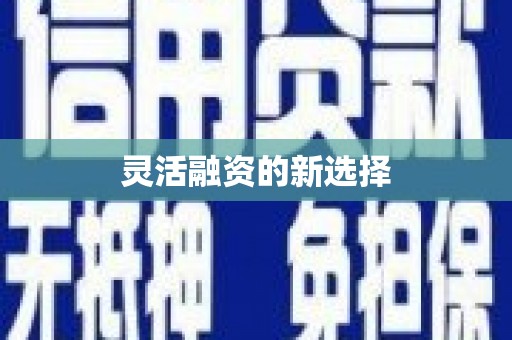冷水江灵活融资的新选择