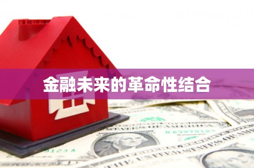 冷水江金融未来的革命性结合