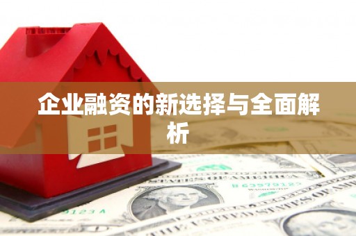 冷水江企业融资的新选择与全面解析
