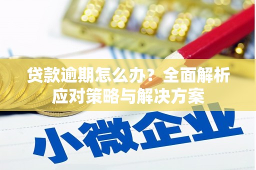 冷水江贷款逾期怎么办？全面解析应对策略与解决方案