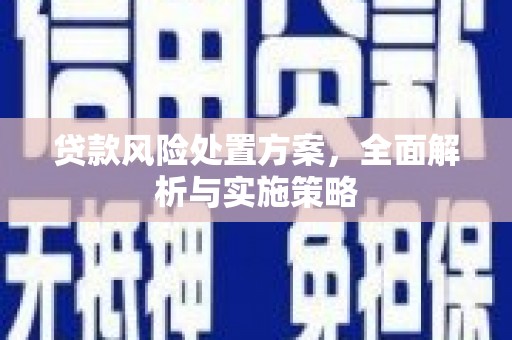 冷水江贷款风险处置方案，全面解析与实施策略