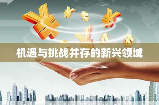 冷水江机遇与挑战并存的新兴领域