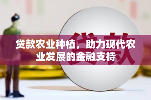 冷水江贷款农业种植，助力现代农业发展的金融支持