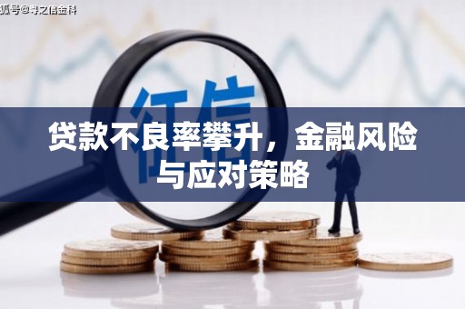冷水江贷款不良率攀升，金融风险与应对策略